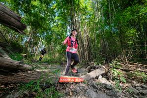 BIB: 
                            <button type="button" onclick="openModal(19390039)" class="btn btn-primary btn-sm float-right btn-popup" data-toggle="modal" data-target=".modal-high-quality">
                        <i class="fas fa-shopping-cart"></i> Add to Cart
                    </button>
                                            <button type="button" onclick="isThisMe(19390039, true)" class="btn btn-success btn-sm float-right btn-popup btn-isme hidden" data-toggle="tooltip" data-placement="bottom" title="นี่คือรูปของคุณใช่ไหม คลิกที่นี่เพื่อเอาเข้าอัลบั้ม">
                        <i class="fas fa-plus"></i> Add to album
                    </button>
                    <button type="button" onclick="isThisMe(19390039, false)" class="btn btn-warning btn-sm float-right btn-popup btn-isnotme hidden">
                        <i class="fas fa-ban"></i> Remove from album
                    </button>